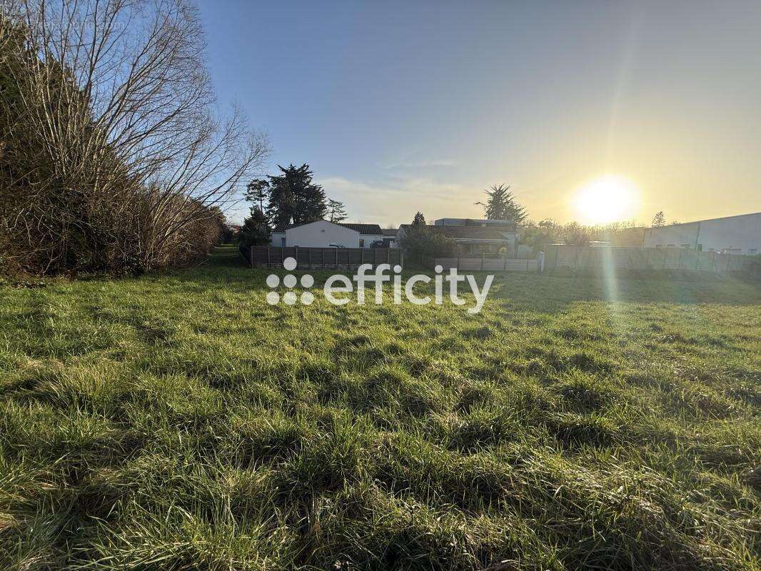 Terrain à SAINT-SULPICE-DE-ROYAN