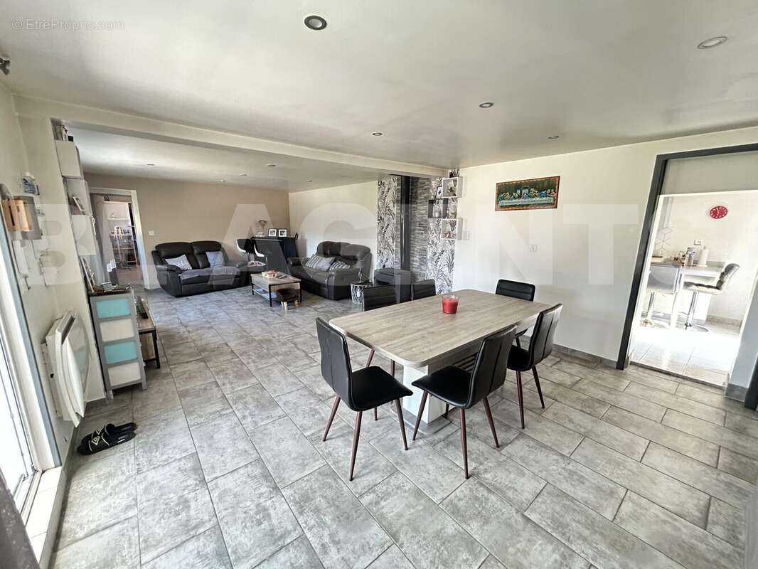 IMG_1605 - Maison à VILLEMANDEUR