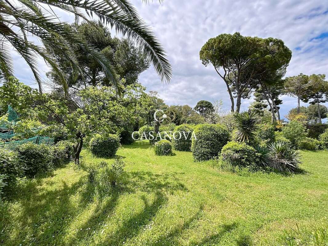Aux portes de PEZENAS, maison de caractère sur un superbe terrain CONSTRUCTIBLE et DIVISIBLE de 3300 m². A 25 mn du bord de MER, - photo 8