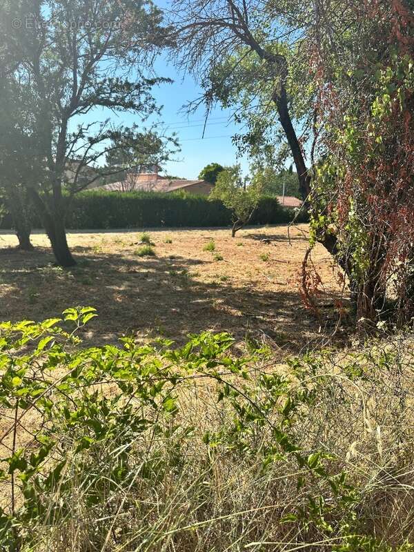 Terrain à LES PENNES-MIRABEAU