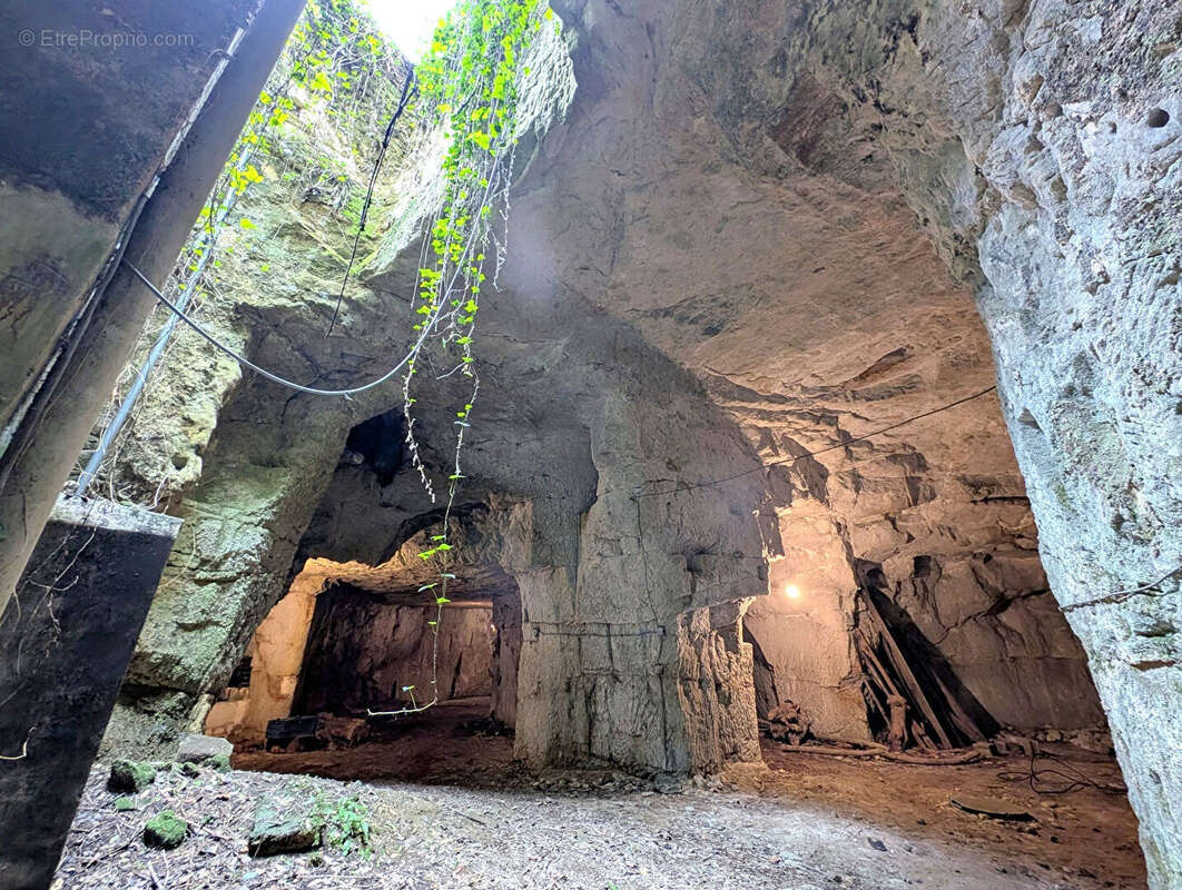 Maison à DOUE-LA-FONTAINE