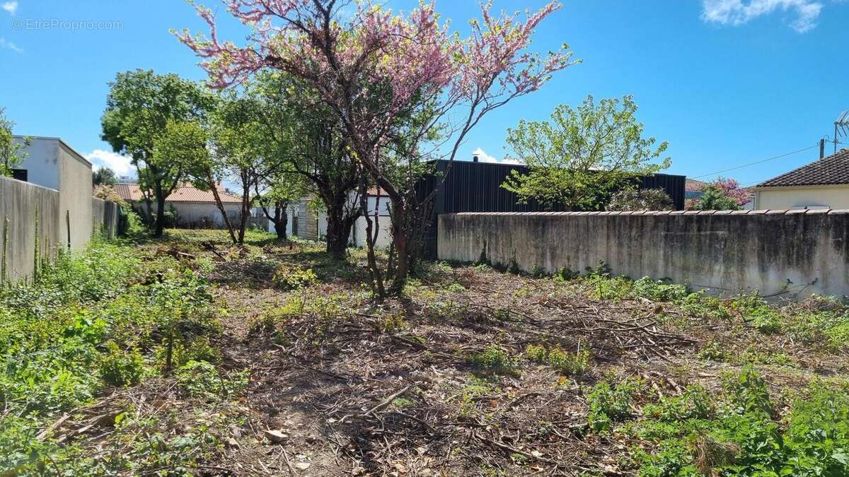 Photo 3 - Terrain à AYTRE