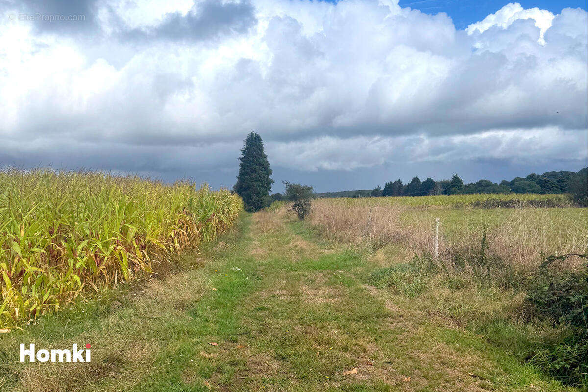 Terrain à LANGONNET