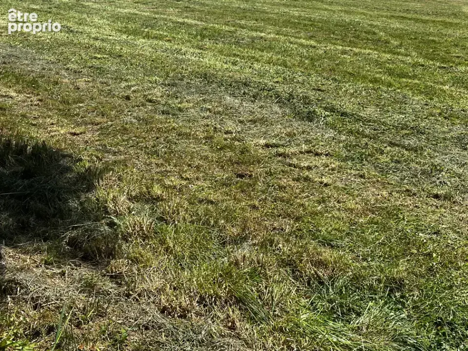 Terrain à LE MUNG
