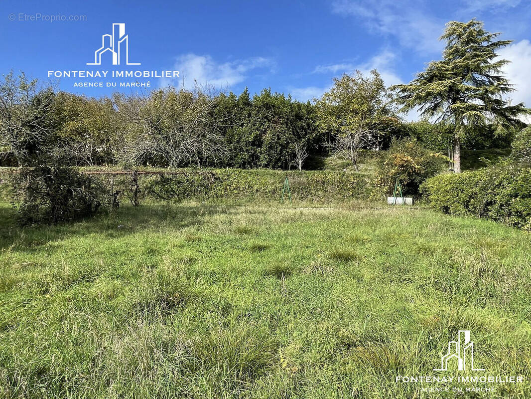 Terrain à FONTENAY-LE-COMTE