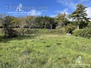 Terrain à FONTENAY-LE-COMTE