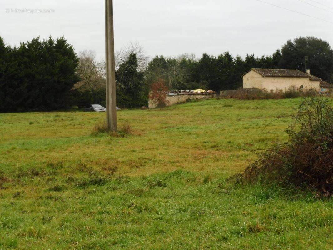 Terrain à MONTPEYROUX