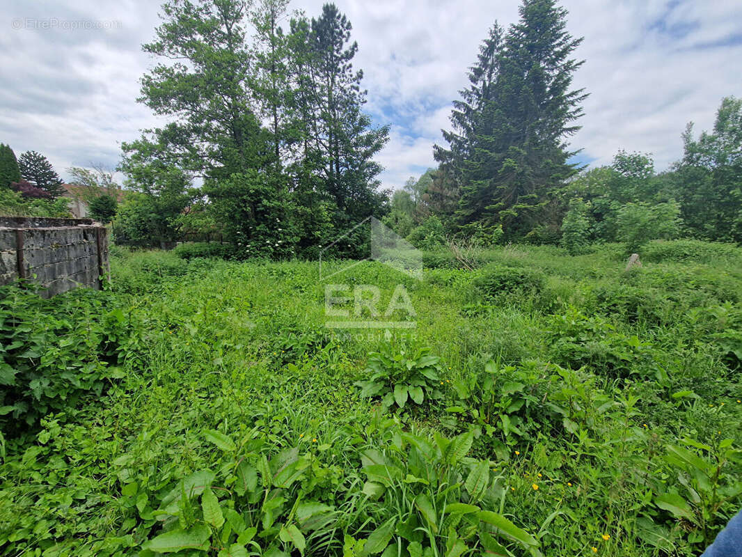 Appartement à NEUVILLE-SOUS-MONTREUIL