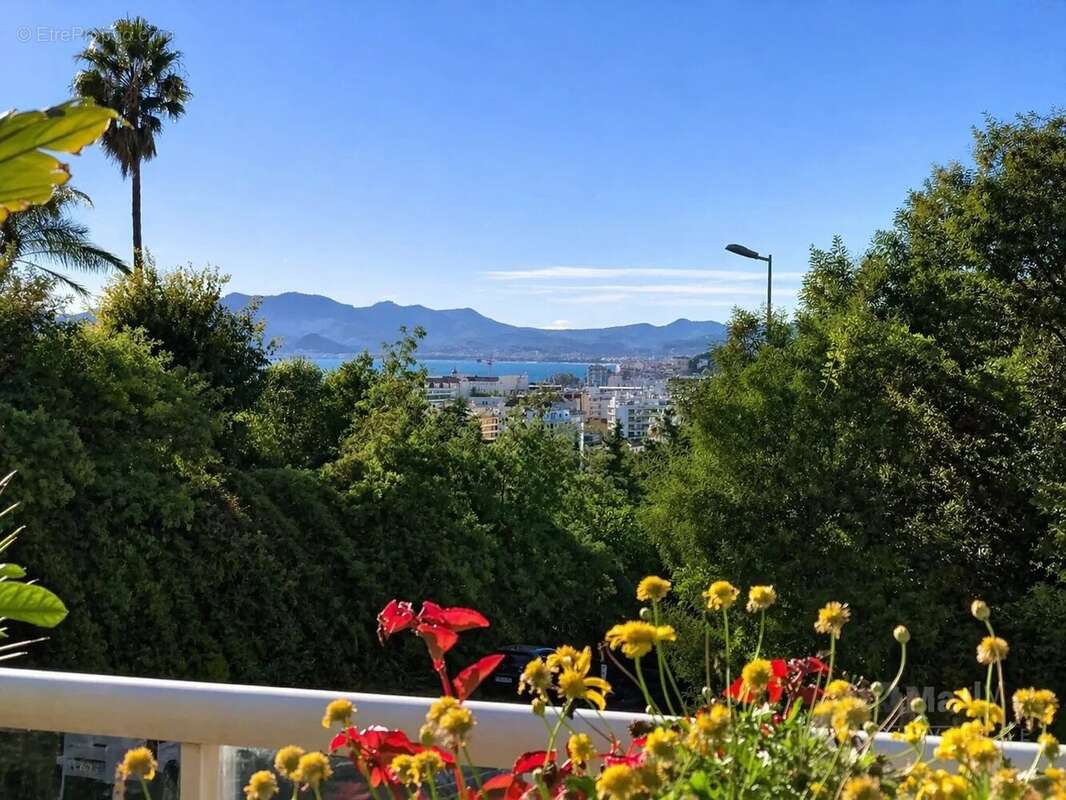 Appartement à CANNES
