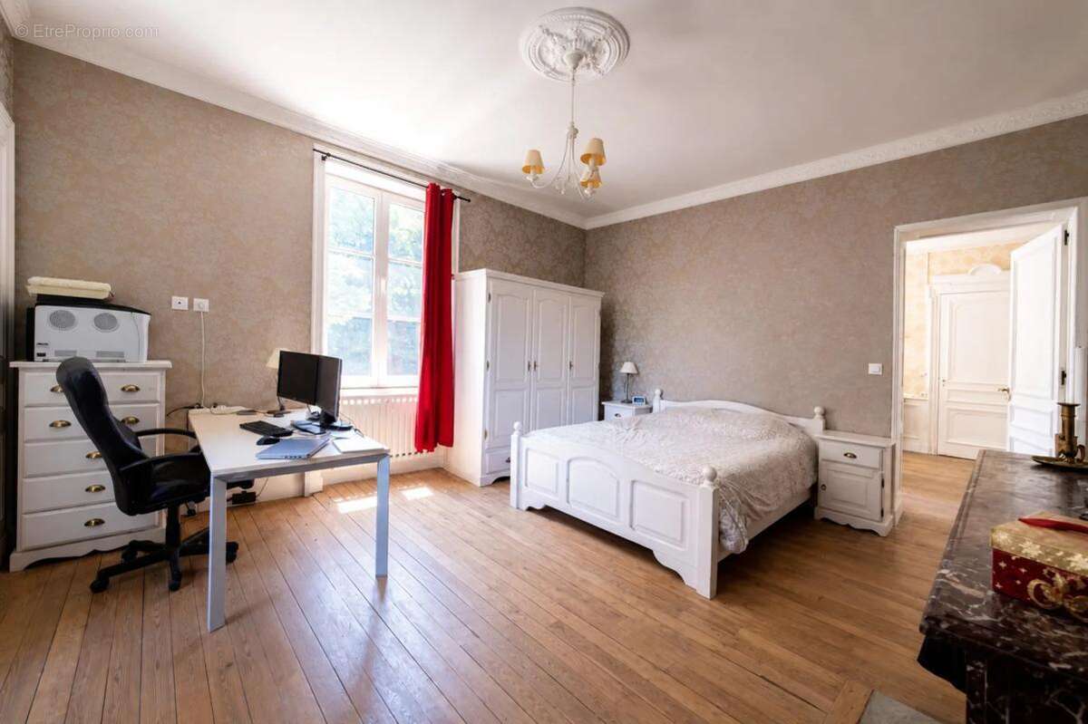 Maison de 360 m² à Neuville-sur-Ain - photo 10
