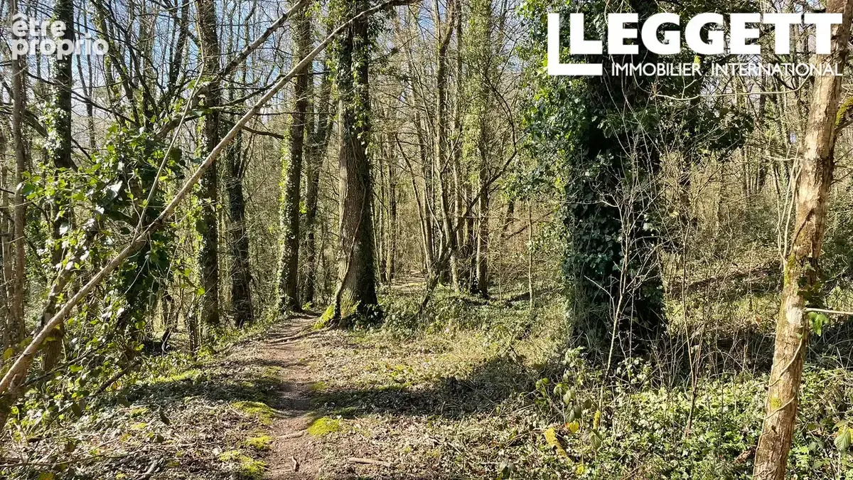 Un terrain boisé, un magnifique espace naturel au cœur de la Bretagne centrale - photo 7