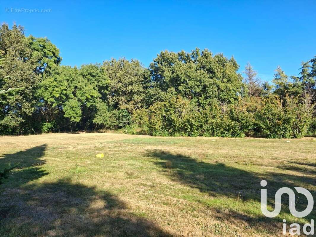 Photo 3 - Terrain à MONTAUBAN