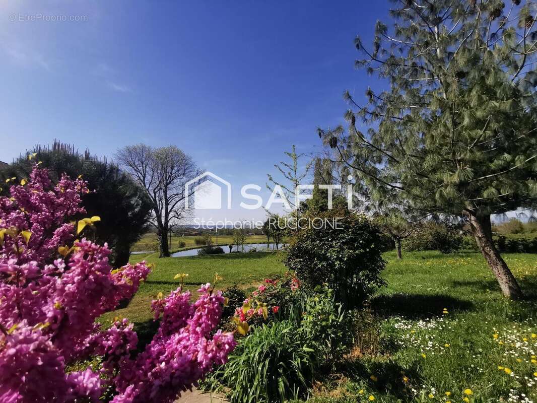 Maison 240 m² à Revel-Tourdan  - photo 8