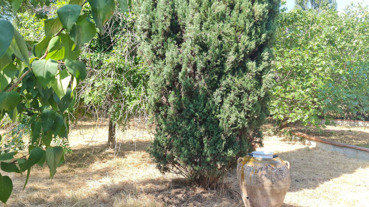 Villa T8 avec jardin sur 1 niveau - photo 2