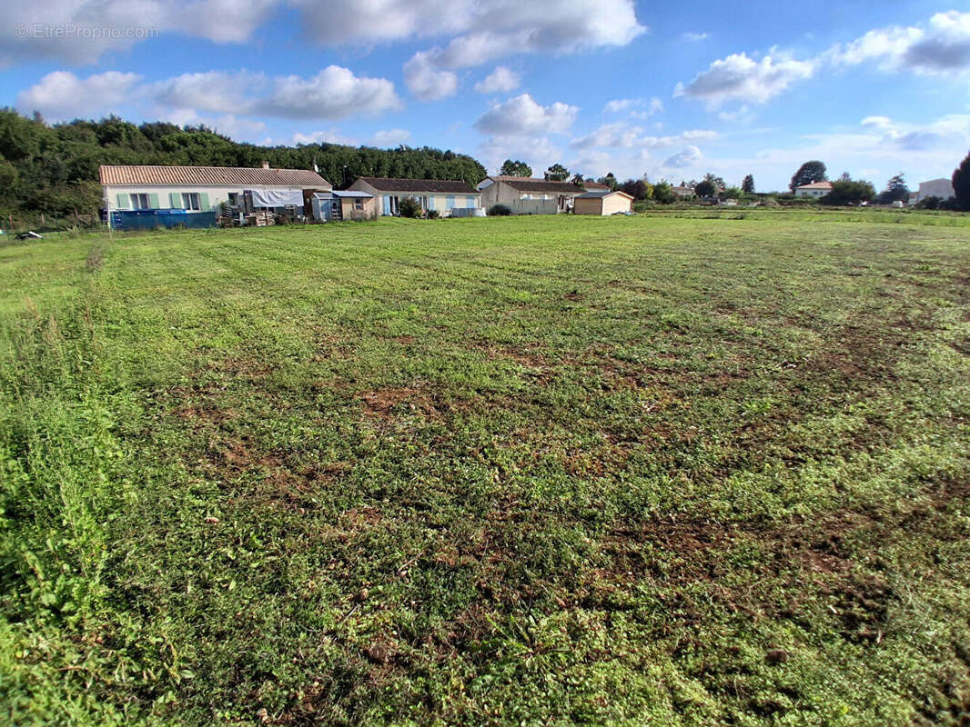 Terrain à TRIZAY