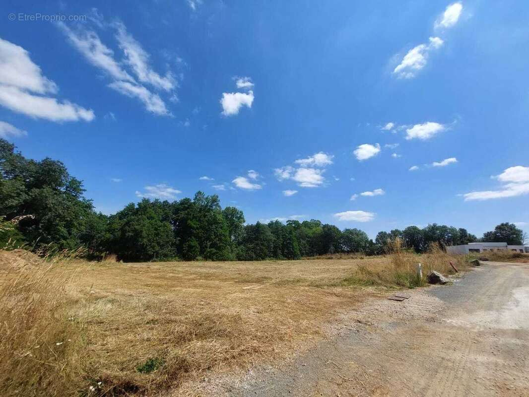 Terrain à SAINT-DENIS-LA-CHEVASSE