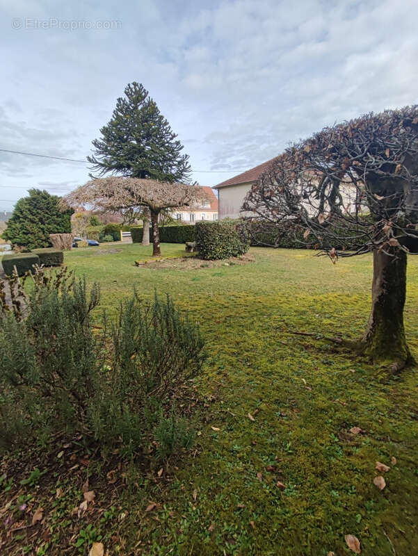 Maison à SAINT-YRIEIX-LA-PERCHE
