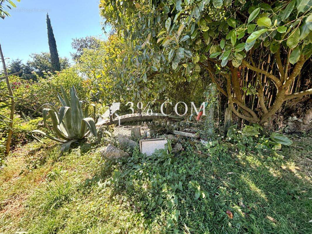 Maison 100m2 5095m2 de terrain avec piscine - photo 19