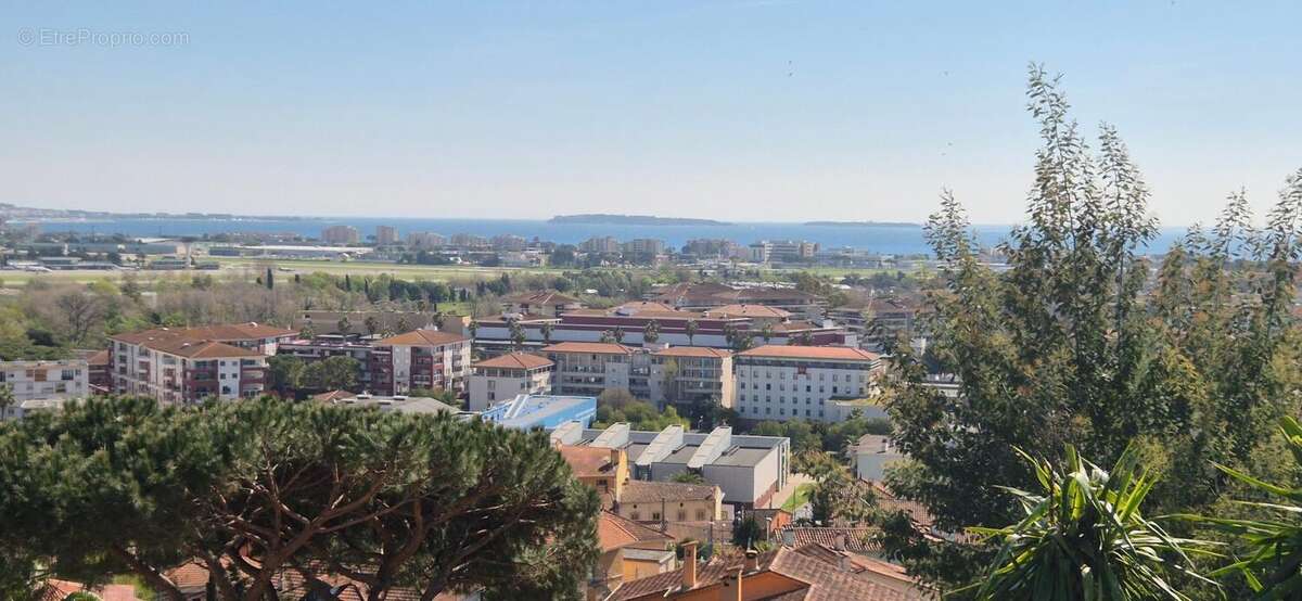 Maison à MANDELIEU-LA-NAPOULE