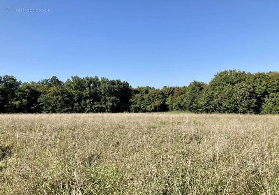 Terrain à SAINT-GENES-DE-LOMBAUD
