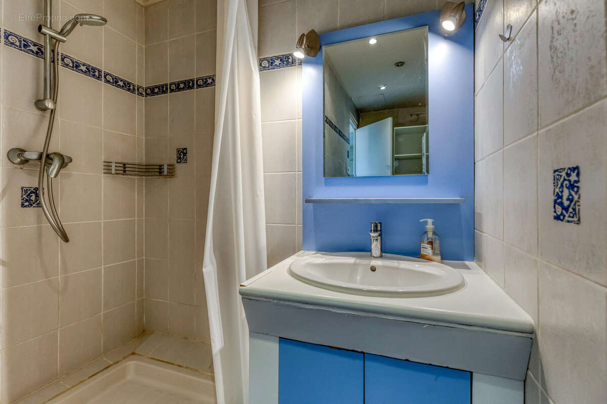 GRENOBLE MALHERBE : T3 55m2 vue massifs et cave en annexe - photo 10
