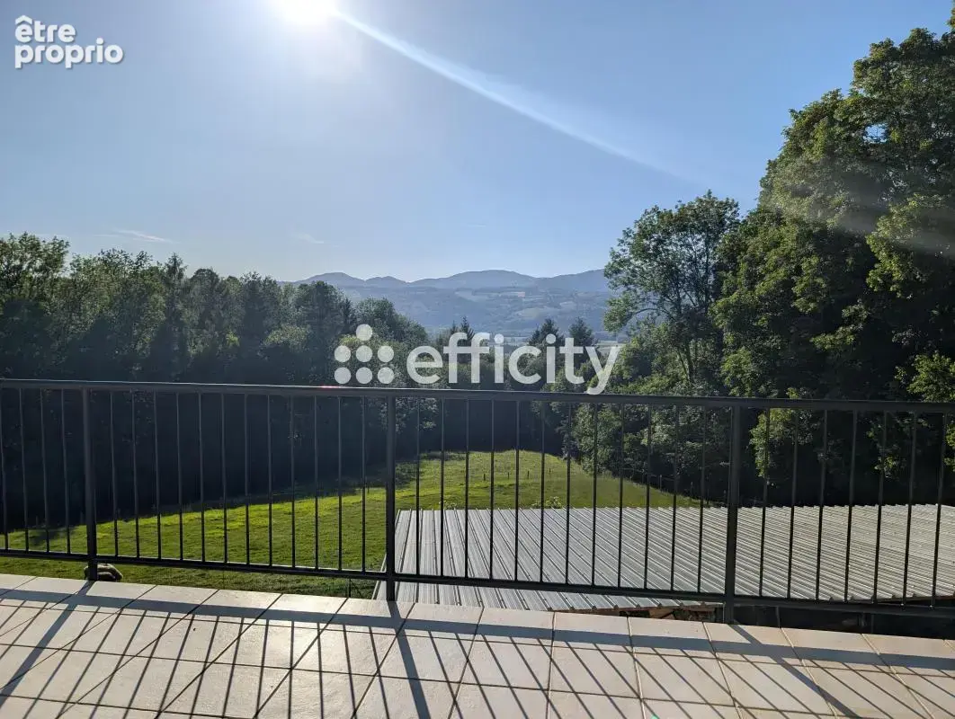 Maison 13 pièces 236 m² à vendre à Saint-Laurent-Du-Pont (38380) - photo 11