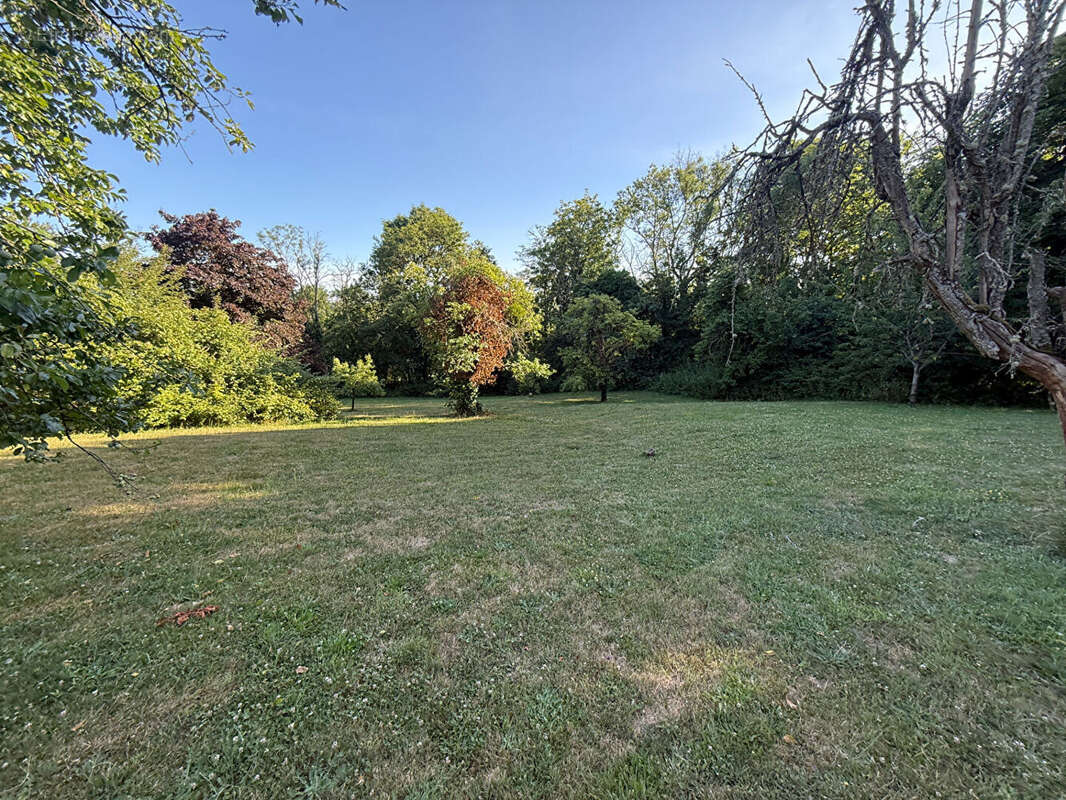 Terrain à CHEVREUSE