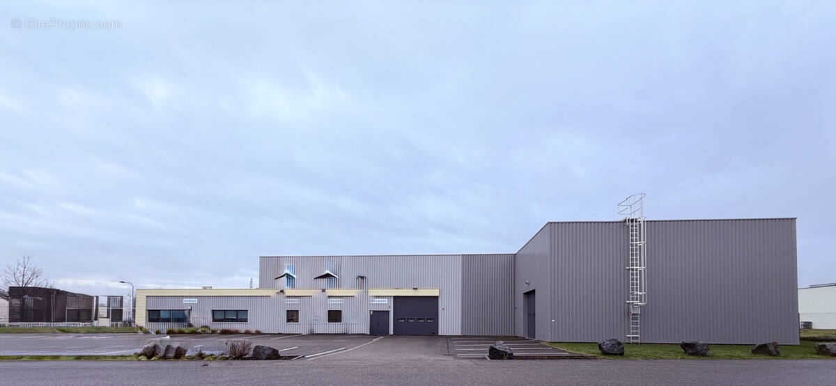 Commerce à HOERDT