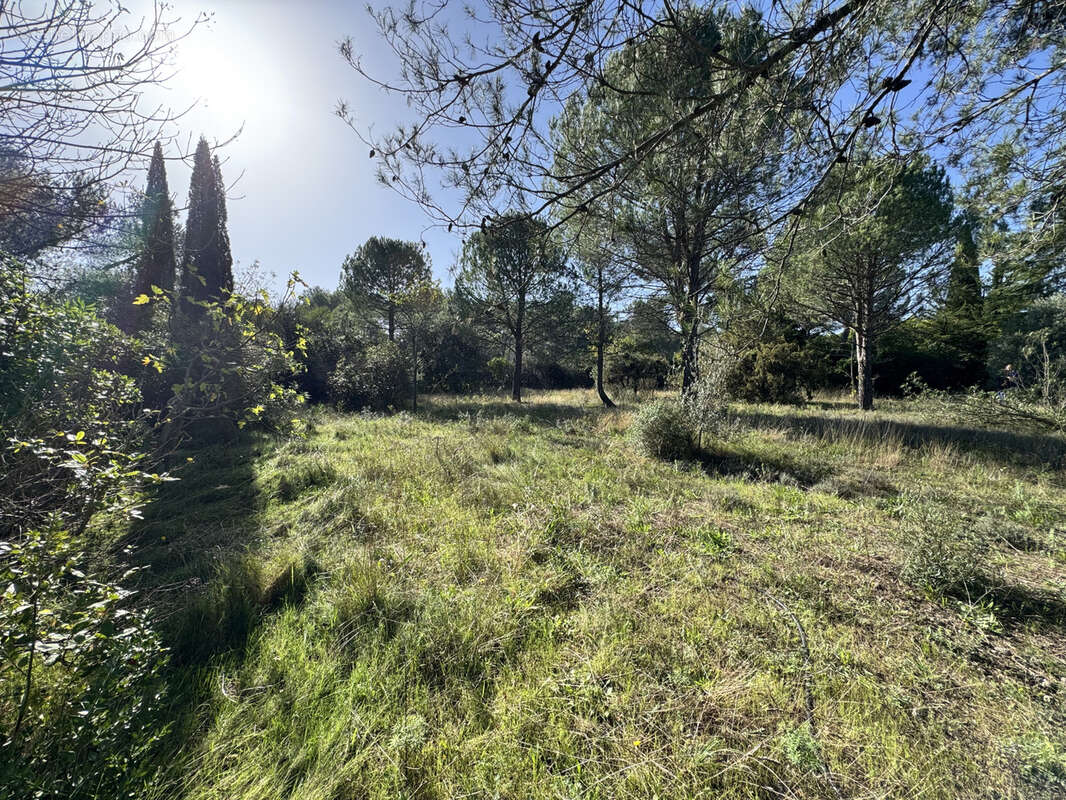 Terrain à MONTFERRIER-SUR-LEZ