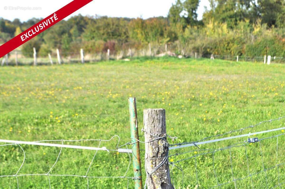 Terrain à ECOYEUX