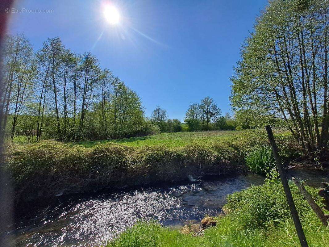 Proche Belgique et Luxembourg, Propriété de charme avec activité touristique de 384 m² habitable + dépendances, terrain de 4951  - photo 23