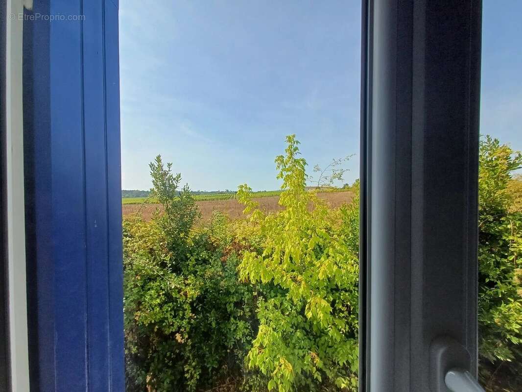 Maison à SAINT-FORT-SUR-GIRONDE