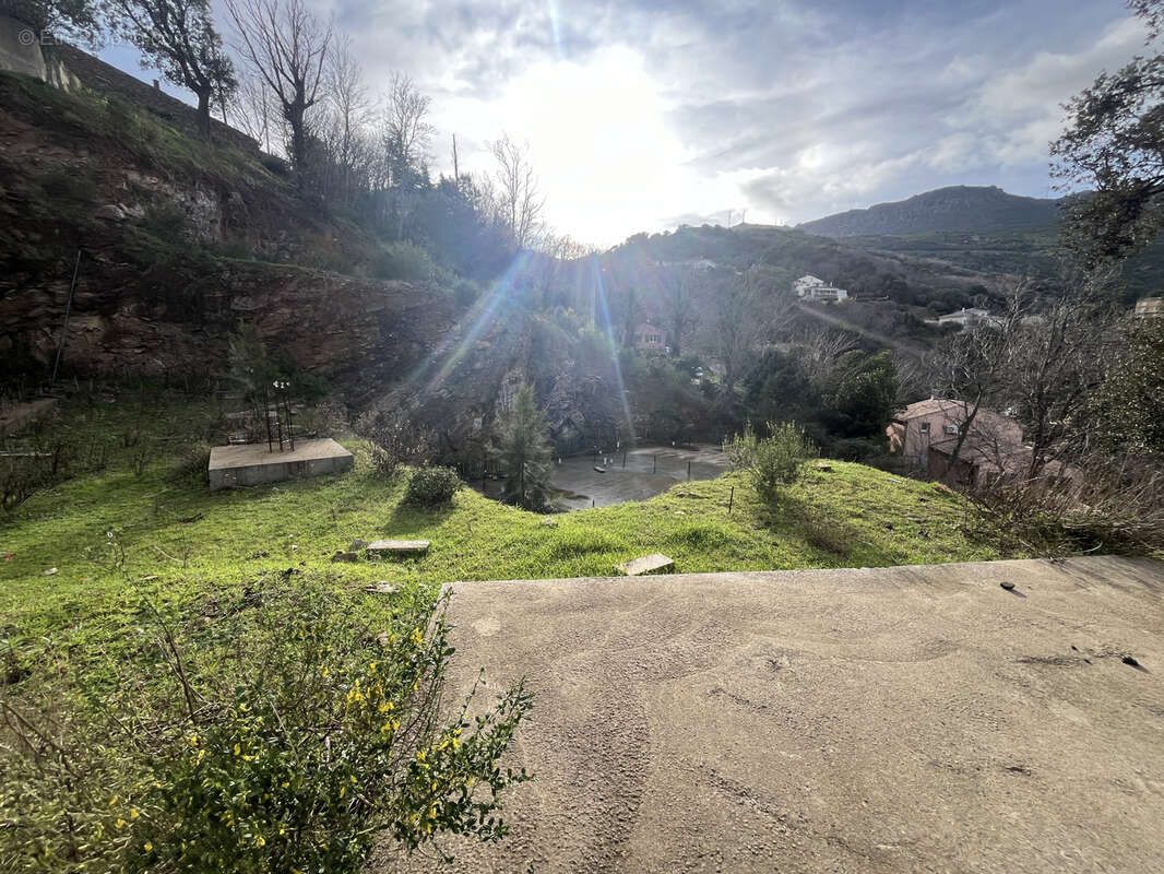 Terrain à SAN-MARTINO-DI-LOTA