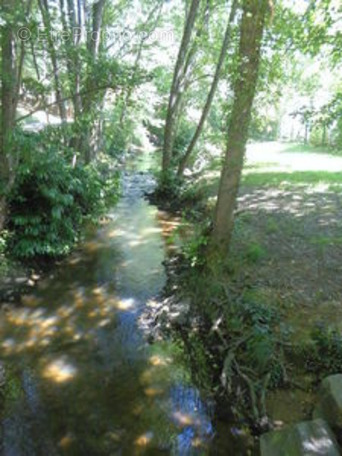 Terrain à NOUAILLE-MAUPERTUIS