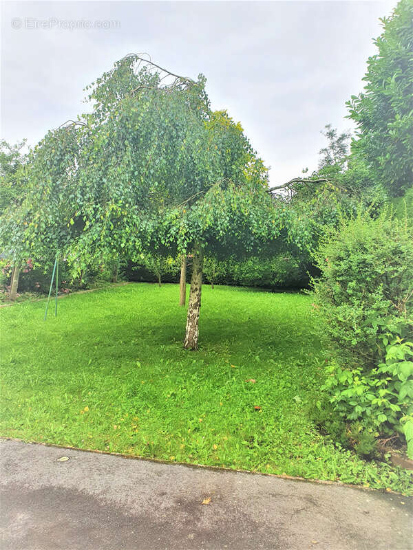 Maison à SAINT-GILLES