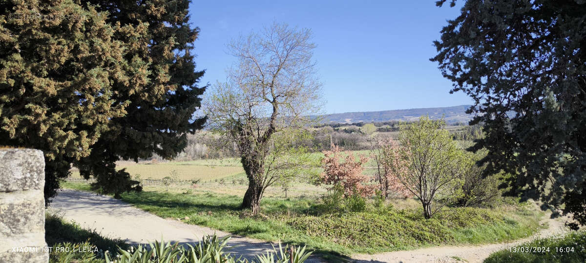 Maison et domaine viticole sur 57 hectares - vignes en aop - photo 2