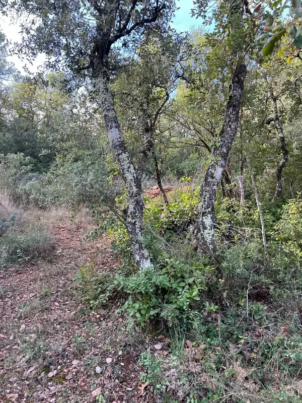 A vendre terrain à bâtir Garéoult 2376 m2 - photo 3