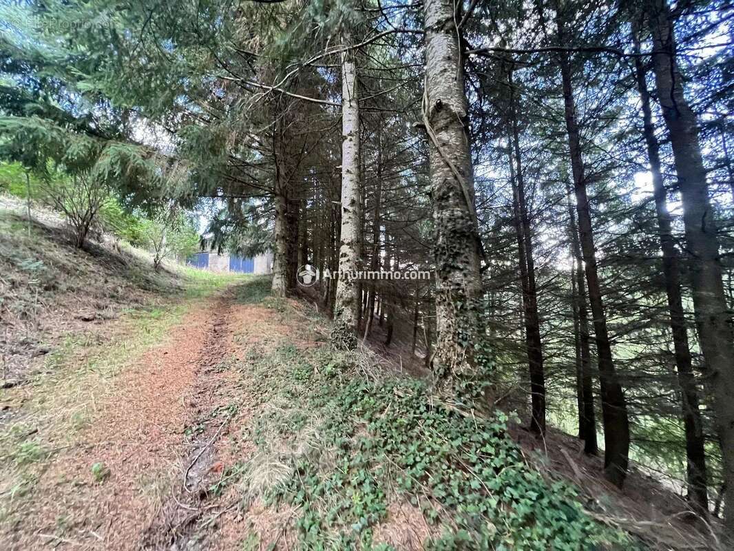 Terrain à SAINT-JEAN-DU-BRUEL
