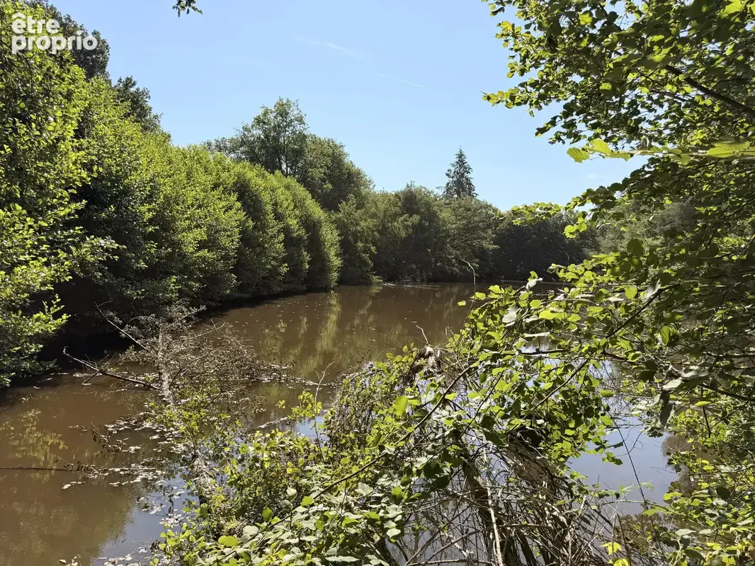 Étang privé de loisirs et de pêche avec bois proche de Montrollet - photo 4
