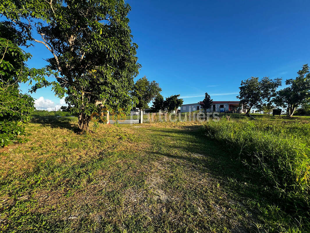Terrain à SAINTE-ANNE