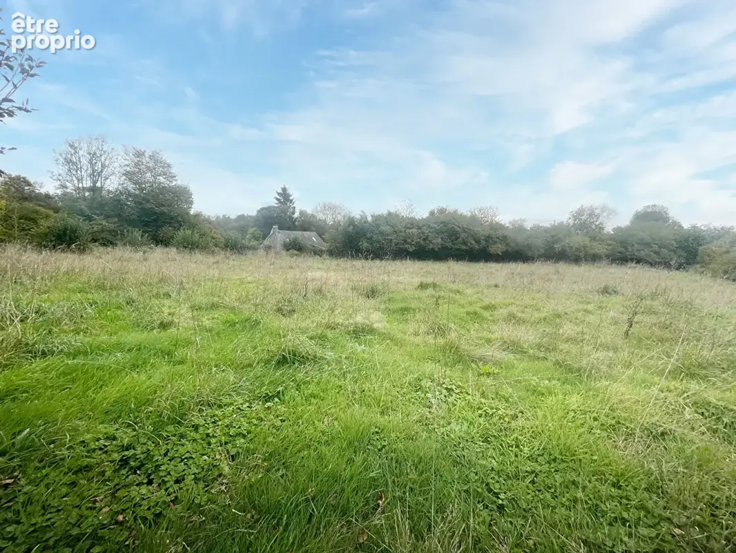 FINISTÈRE: Proche Huelgoat. Spacieuse maison de 3 chambres exposée sud avec terrain et dépendance en pierre. - photo 3