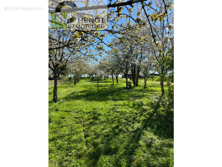 Maison à JUVAINCOURT