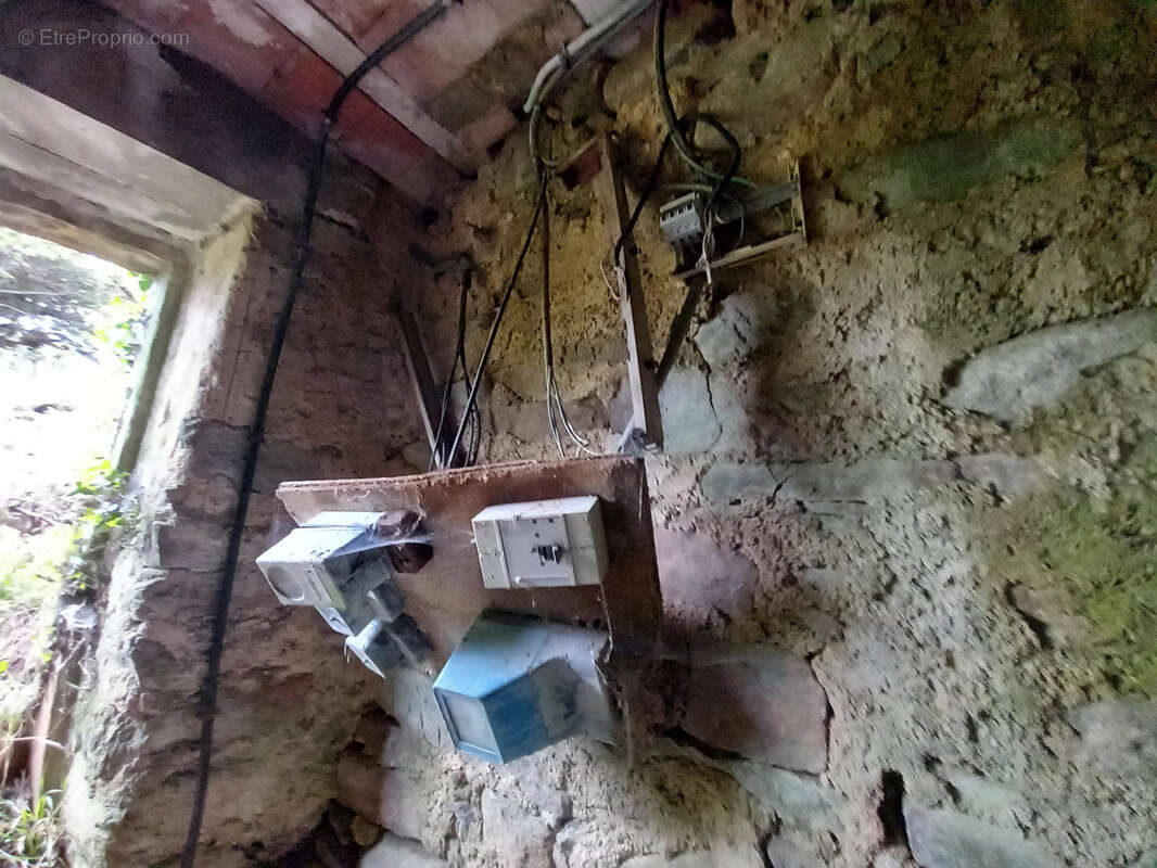 Unique ! ancienne Ferme à rénover sur 15Ha de patures et bois . - photo 40