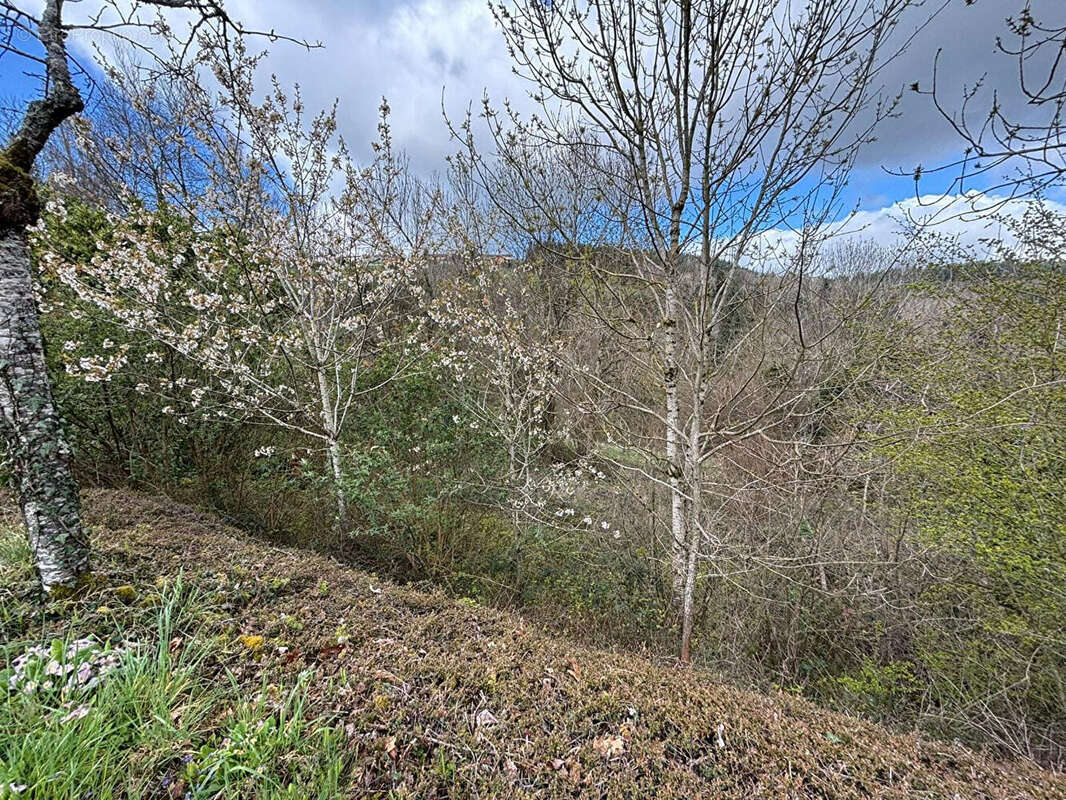 Terrain à THIZY