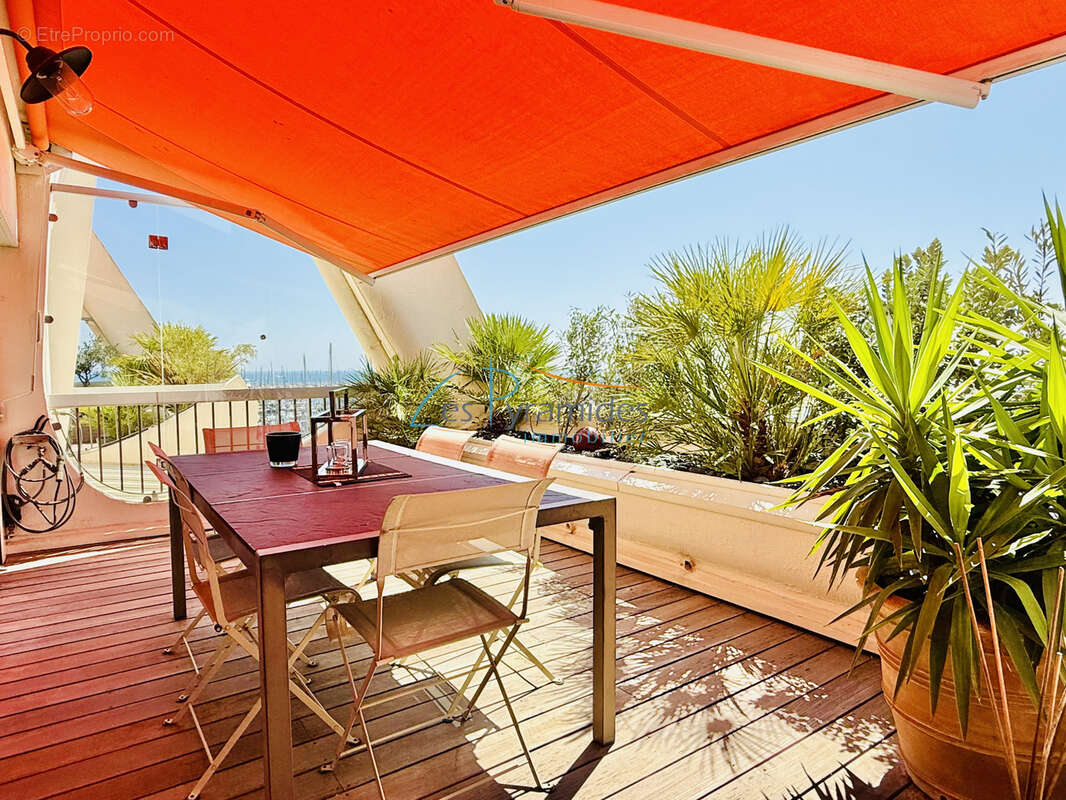 La grande motte - p4 vue port - photo 11