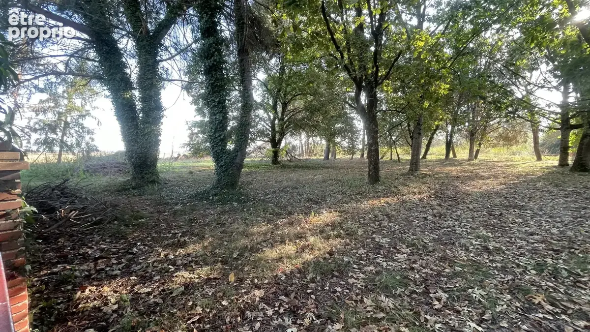 Un trésor de maison de 217 m2 de plain pied, annexes et terrain arboré de 1.8 hectares, Noaillac 33190 - photo 6