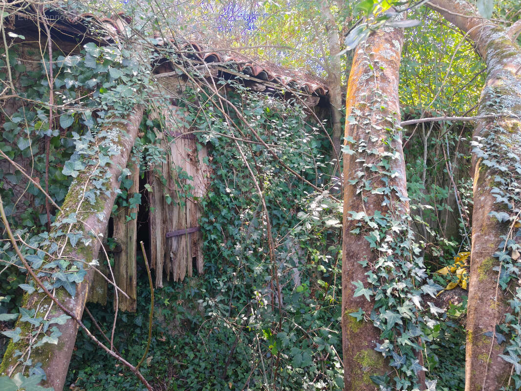 Maison à LAUREDE