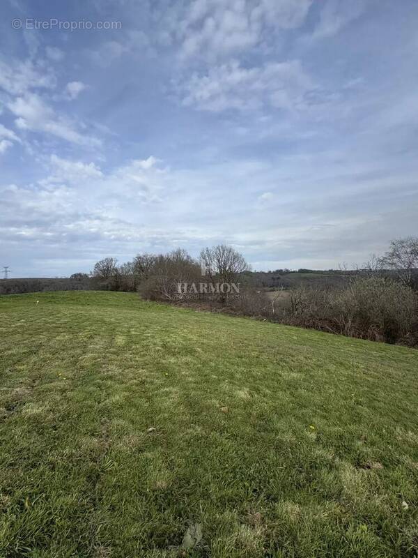 Terrain à SERRES-SAINTE-MARIE