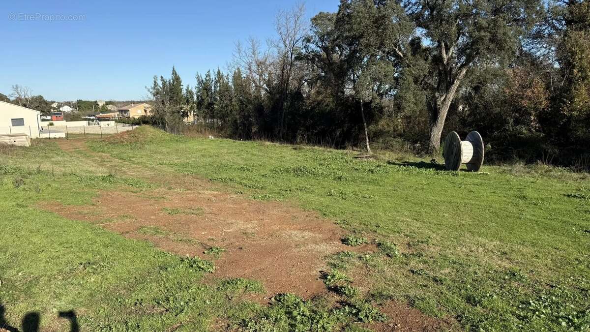 Terrain à POGGIO-MEZZANA