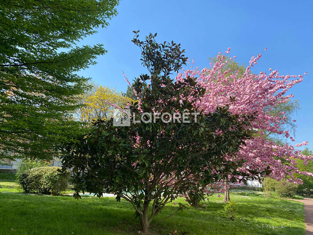 Appartement à MARLY-LE-ROI